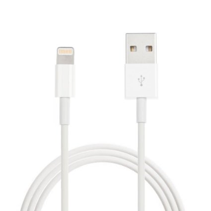 iPhone / iPad Lightning to USB Charging Cable (3-Feet) (1m)