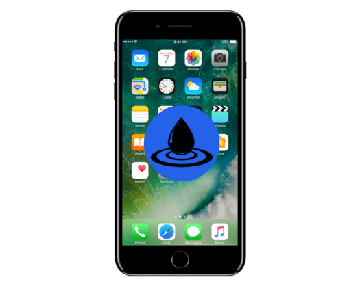 iPhone 8 Plus Water Damage Diagnostic