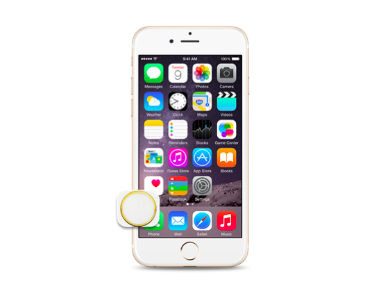 iPhone 6S Home Button Replacement