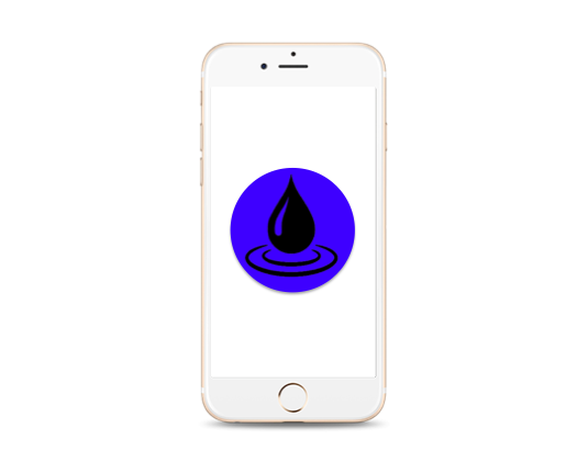 iPhone 6S Water Damage Diagnostic